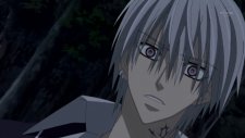Рыцарь-вампир 2, Vampire Knight Guilty