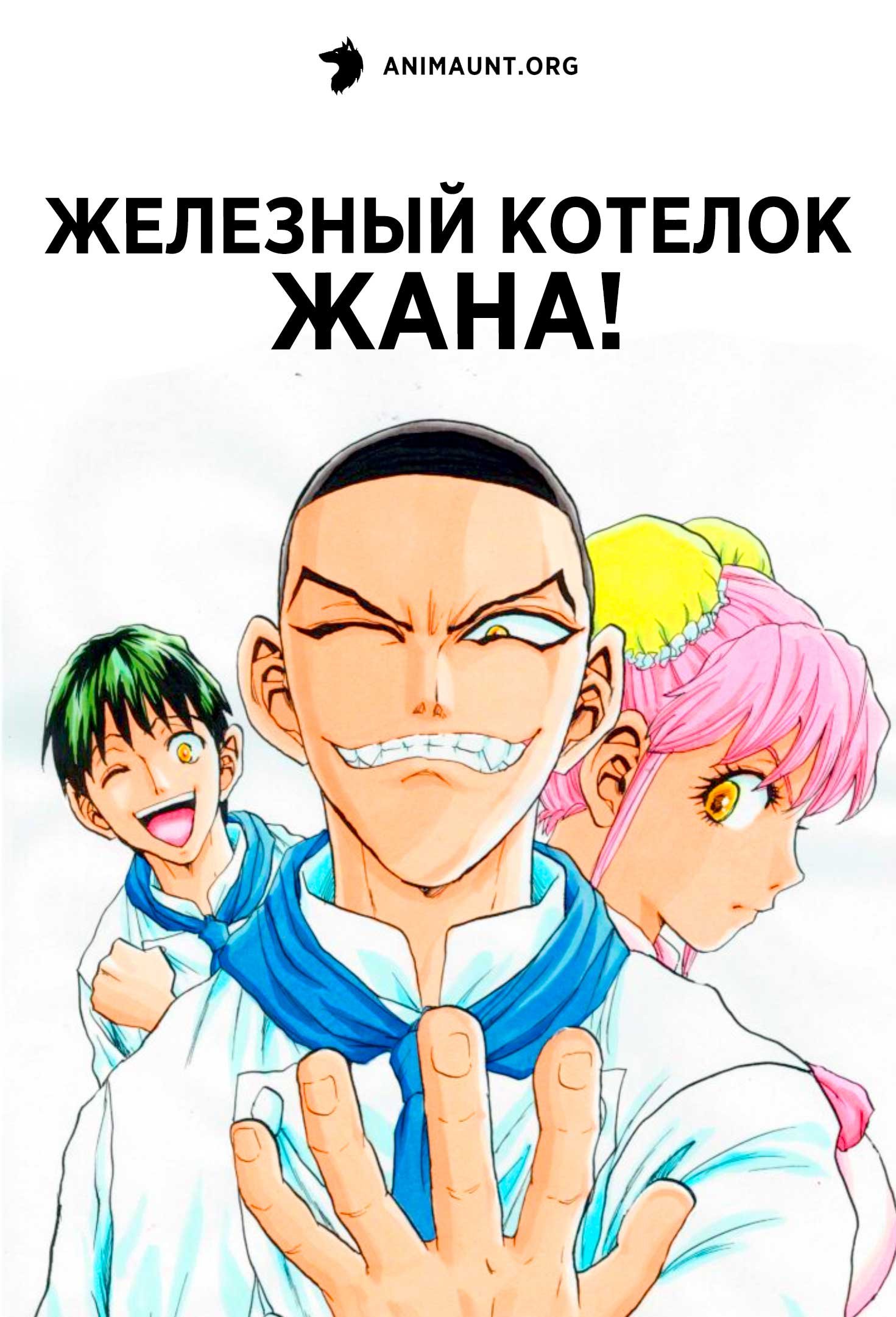 Железный котелок Жана!